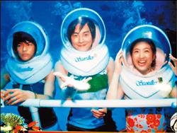 林依晨（上圖右）、鄭元暢在海底漫步甜蜜開心，汪東城（左）形單影隻很孤單。
