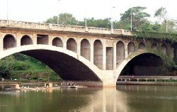 中正大學寧靜湖可見校方自行復育的黑天鵝優游其間。（記者楊國棠攝） 2005.11.07 自由時報