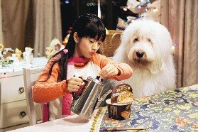 林依晨一向以親切形象示人。  中視／提供