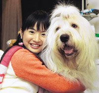 2006.04.07 [星報]林依晨有可能成為周杰倫的小師妹。