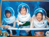 汪東城（左起）、鄭元暢、林依晨在海底。記者褚姵君／翻拍潛水照